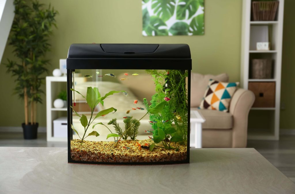 un aquarium dans une maison